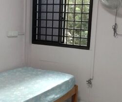 Blk 143 Bukit Batok Street 11 (Bukit Batok), HDB 3 Rooms #562058731